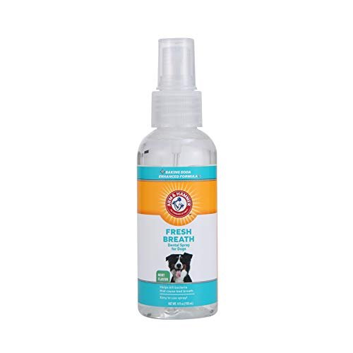 31VcY6Xf-mL.jpg Arm & Hammer for Pets Fresh Breath Dental Spray for Dogs | Easy and Effective Way to Reduce Plaque & Tartar Buildup Without Brushing, 4 Ounces, Mint Flavor - Image 1
