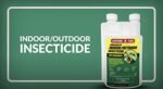 Compare-N-Save Concentrate Indoor and Outdoor Insect Control, 32-Ounce - Image 3