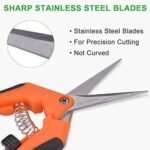 GROWNEER 3 Packs 6.5 Inch Pruning Shears Gardening Hand Pruning Snips Gardening Scissors with Straight Stainless Steel Precision Blades - Image 5