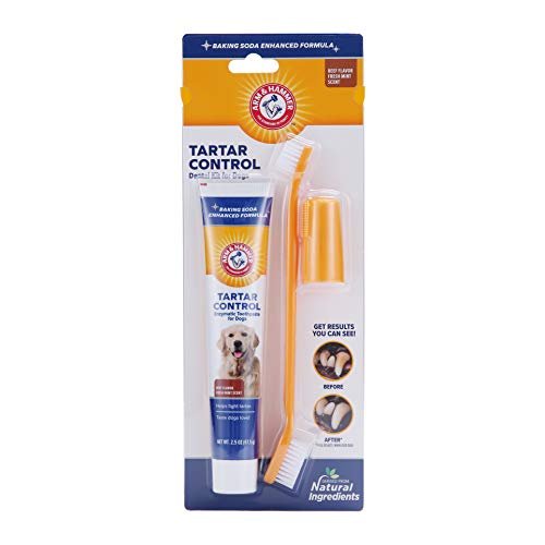 41ElqnxRwL.jpg Arm & Hammer for Pets Tartar Control Kit for Dogs | Contains Toothpaste, Toothbrush & Fingerbrush | Reduces Plaque & Tartar Buildup | Safe for Puppies, 3-Piece , Beef Flavor - Image 1