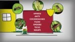 Compare-N-Save Concentrate Indoor and Outdoor Insect Control, 32-Ounce - Image 4