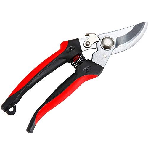 41L0wRwOvpL.jpg The Gardener's Friend Bypass Pruners for Small Hands, These Pruning Shears are Lightweight and Easy to Use. Ideal for Ladies and Men Gardeners with Small or Weak Hands Perfect Garden Gift - Image 1