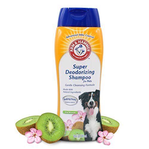 41QSoMa10L.jpg Arm & Hammer Super Deodorizing Shampoo For Dogs - Odor Eliminating Dog Shampoo For Smelly Dogs & Puppies With Arm & Hammer Baking Soda -- Kiwi Blossom Scent, 20 Fl Oz - Image 1
