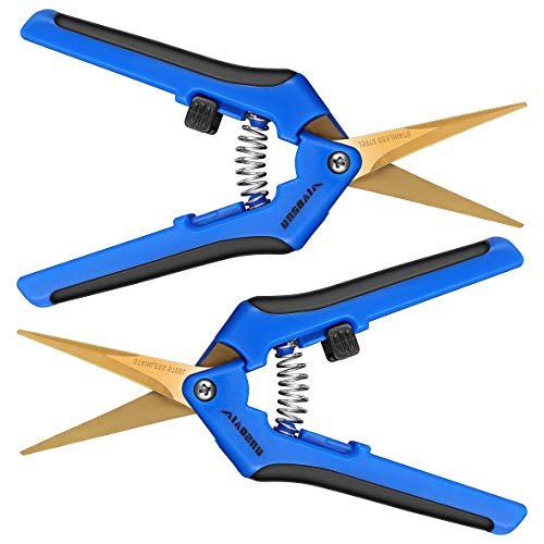 41auV2gfEVL.jpg VIVOSUN 6.5 Inch Gardening Scissors Hand Pruner Pruning Shear with Titanium Coated Curved Precision Blades 2-Pack - Image 1