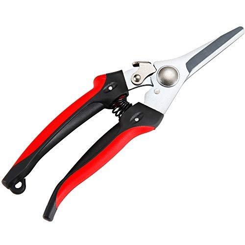 41gKxf4F4aL.jpg The Gardener's Friend Pruning Snips, Lightweight and Small Pruners for Light Gardening, Great for Deadheading Flowers and Pruning Light Wood Ergonomically Designed for Smaller Hands - Image 1