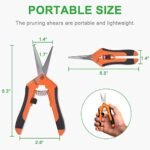 GROWNEER 3 Packs 6.5 Inch Pruning Shears Gardening Hand Pruning Snips Gardening Scissors with Straight Stainless Steel Precision Blades - Image 4