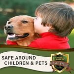 Mice & Rat Repellent. Peppermint Repellent for Mice/Mouse, Rats & Rodents. Natural Spray for Indoor & Outdoor Use. 128 OZ Gallon Trigger Sprayer Ready to Use - Image 6