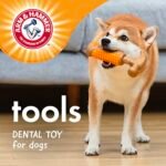 Arm & Hammer for Pets Chew Tools Collection: Wood Blend Hammer Chew Toy for Dogs | Compressed Wood Dog Chew Toys with Baking Soda, Safer & Durable Alternative to Chewing Sticks - Image 4