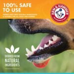 Arm & Hammer for Pets Fresh Breath Dental Spray for Dogs | Easy and Effective Way to Reduce Plaque & Tartar Buildup Without Brushing, 4 Ounces, Mint Flavor - Image 6
