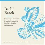 Bach Original Flower Remedies, Beech for Tolerance (Non-Alcohol Formula), Natural Homeopathic Flower Essence, Holistic Wellness and Stress Relief, Vegan, 10mL Dropper - Image 3
