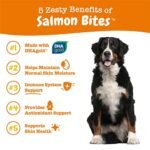 Salmon Fish Oil Omega 3 for Dogs - with Wild Alaskan Salmon Oil - Skin & Coat + Seasonal Allergy Support - Hip & Joint Dog Supplement + EPA & DHA - 90 Bites - Salmon Flavor - Image 3
