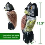 GiftExpress 15.5" Scarecrow Owl Decoy with Rotating Head Statue, Pest Repellent, Bird Control, Bird Deterrent, Garden Protectors, Fake Owls (1) - Image 4