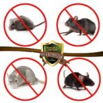 Mice & Rat Repellent. Peppermint Repellent for Mice/Mouse, Rats & Rodents. Natural Spray for Indoor & Outdoor Use. 128 OZ Gallon Trigger Sprayer Ready to Use - Image 3