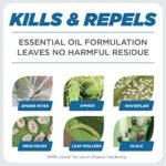 Earth's Ally Insect Control for Plants | Safe Outdoor & Indoor Plant Insecticide, Spider Mite, Aphid & Mealybug Killer - Effective Spray for Organic Garden & Household Plants, Ready-to-Use, 24oz - Image 6