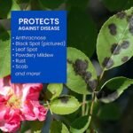 BioAdvanced 3-In-1 Insect, Disease and Mite Control, Ready-to-Use, 24 oz - Image 4