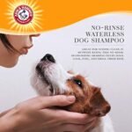 Arm & Hammer Ultra Fresh No Rinse Deodorizing Foam for Dogs, Juniper Mist, 8 Oz | Waterless Dog Shampoo | Baking Soda Neutralizes Bad Odors for an Advanced Clean - Image 3