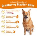 Zesty Paws Cranberry for Dogs - UT Incontinence Support + Immune Health Dog Antioxidant - Urinary Tract UTI & Kidney + Bladder Support - D-Mannose + Organic Marshmallow & Licorice - 90 Chew Treats - Image 3
