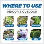 Earth's Ally Insect Control for Plants | Safe Outdoor & Indoor Plant Insecticide, Spider Mite, Aphid & Mealybug Killer - Effective Spray for Organic Garden & Household Plants, Ready-to-Use, 24oz - Image 4