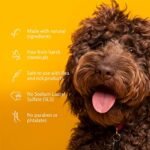 Arm & Hammer Super Deodorizing Shampoo For Dogs - Odor Eliminating Dog Shampoo For Smelly Dogs & Puppies With Arm & Hammer Baking Soda -- Kiwi Blossom Scent, 20 Fl Oz - Image 6