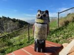GiftExpress 15.5" Scarecrow Owl Decoy with Rotating Head Statue, Pest Repellent, Bird Control, Bird Deterrent, Garden Protectors, Fake Owls (1) - Image 6