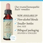 Bach Original Flower Remedies, Beech for Tolerance (Non-Alcohol Formula), Natural Homeopathic Flower Essence, Holistic Wellness and Stress Relief, Vegan, 10mL Dropper - Image 4
