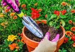 Edward Tools Transplanter Trowel - Bend Proof and Rust Proof Aluminum - Most Comfortable Transplanter with Ergo Handle - Engraved Depth Guide - Image 4