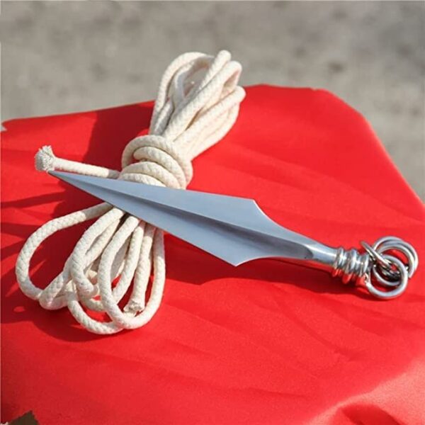 Hot Traditional Wushu Rope Dart Kungfu Stainless Steel Rope Darts for Tousheng Soft Martial Arts Equipments - Image 3