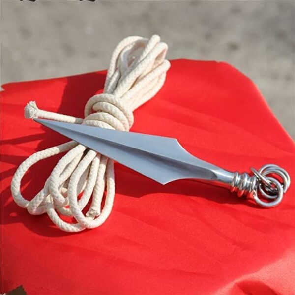 Hot Traditional Wushu Rope Dart Kungfu Stainless Steel Rope Darts for Tousheng Soft Martial Arts Equipments - Image 4